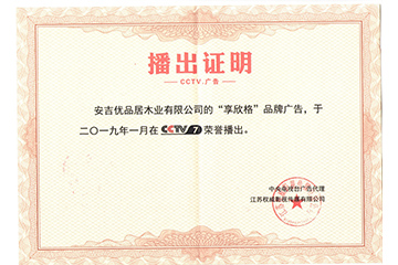 CCTV央视推广品牌